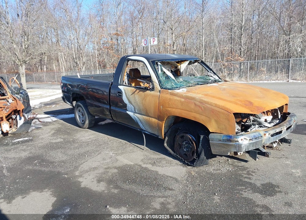 2003 CHEVROLET SILVERADO 1500 VIN: 1GCEK14T03Z248517