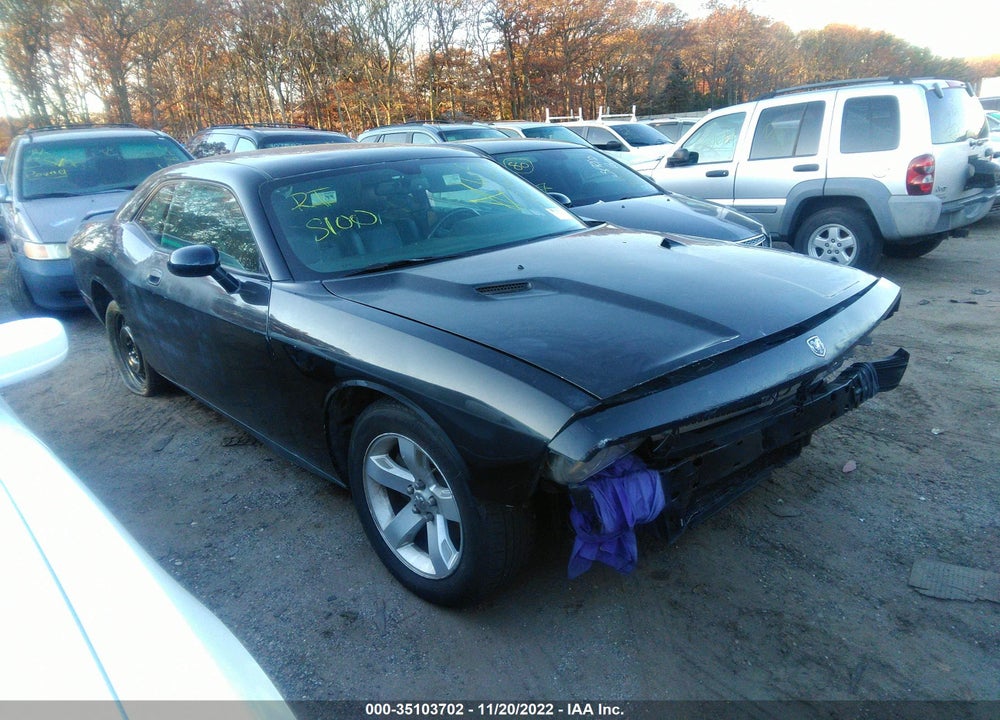 2010 DODGE CHALLENGER SE VIN: 2B3CJ4DV8AH194752