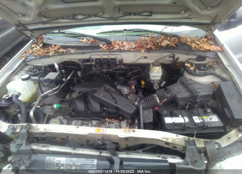 2006 FORD ESCAPE LIMITED VIN: 1FMYU94176KA54919