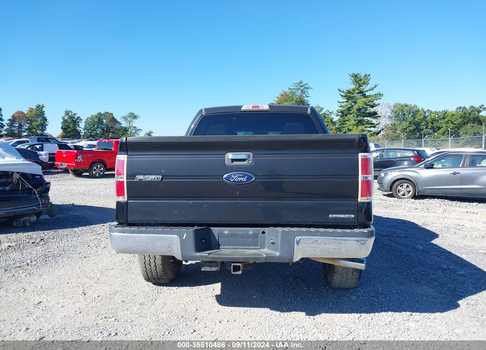 2013 FORD F-150 XLT VIN: 1FTFW1EFXDKF46665