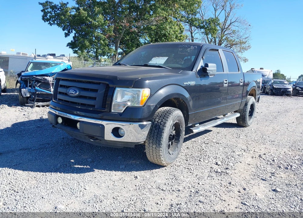 2013 FORD F-150 XLT VIN: 1FTFW1EFXDKF46665