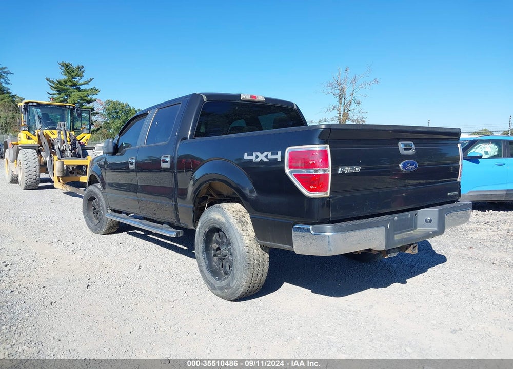 2013 FORD F-150 XLT VIN: 1FTFW1EFXDKF46665