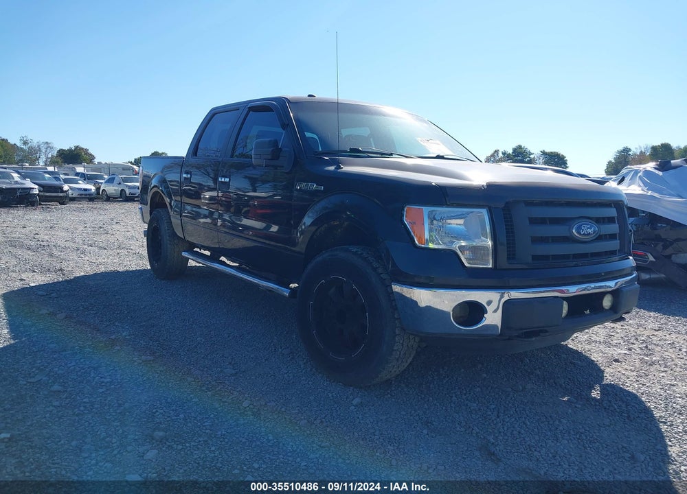 2013 FORD F-150 XLT VIN: 1FTFW1EFXDKF46665