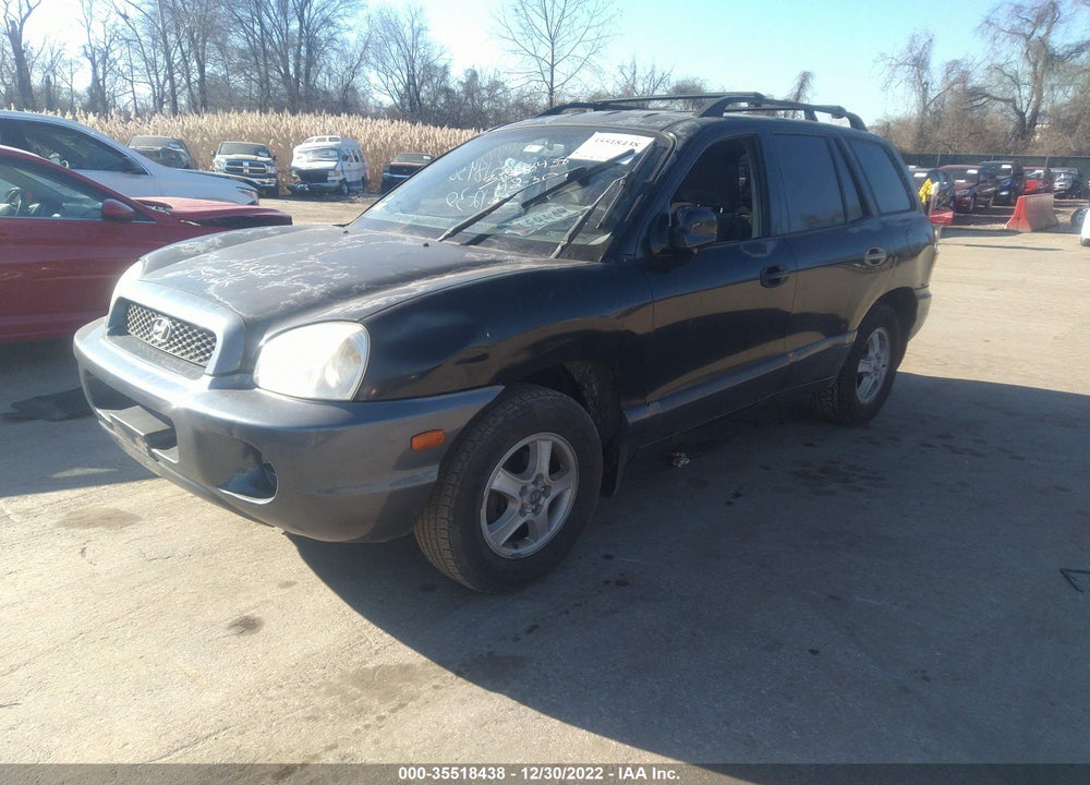 2002 HYUNDAI SANTA FE VIN: KM8SB12B12U307336