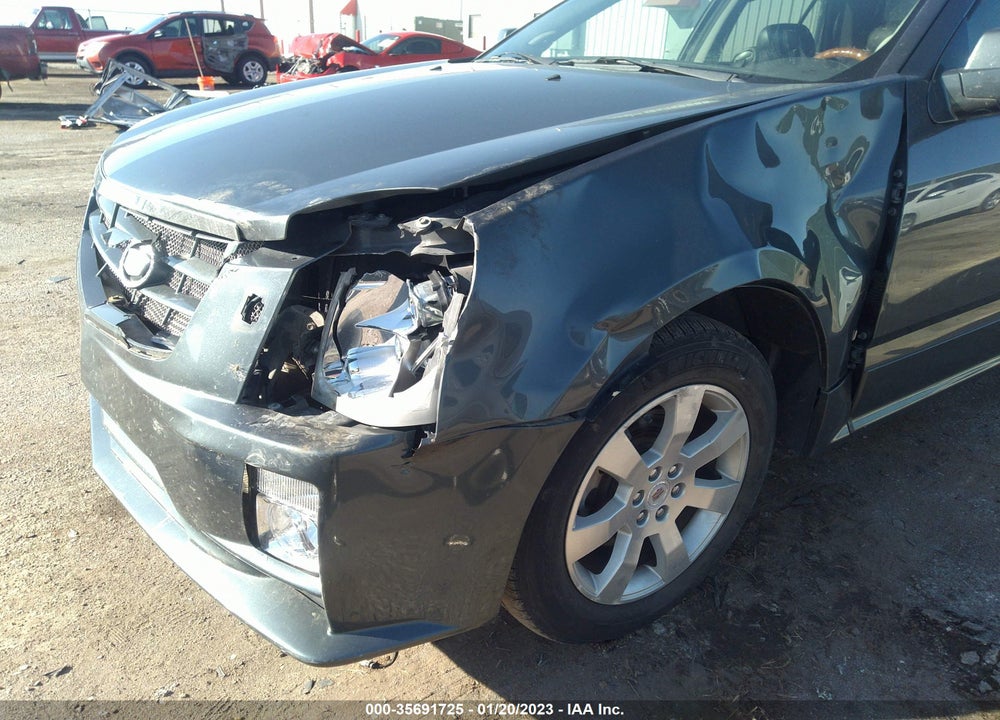 2009 CADILLAC SRX VIN: 1GYEE437490125288