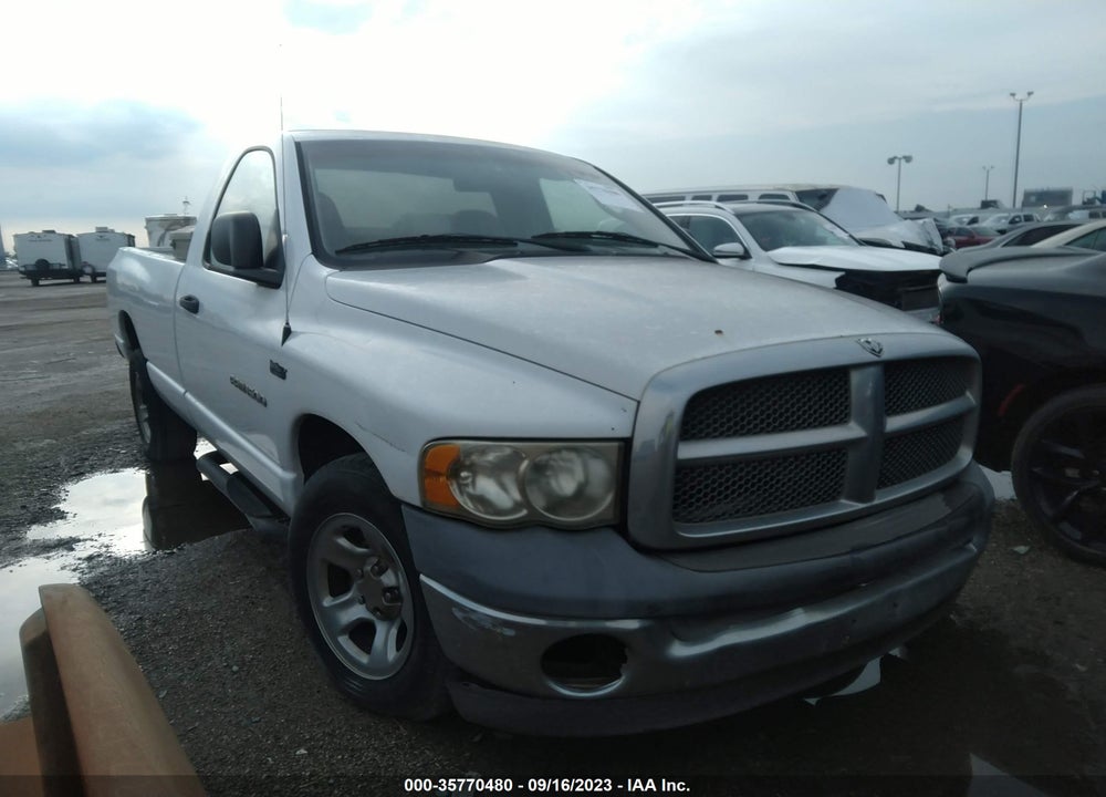 2002 DODGE RAM 1500 SLT VIN: 1D7HA16N32J130382
