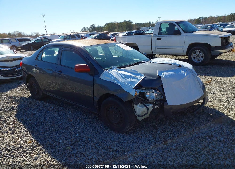2010 TOYOTA COROLLA VIN: 2T1BU4EE3AC316203