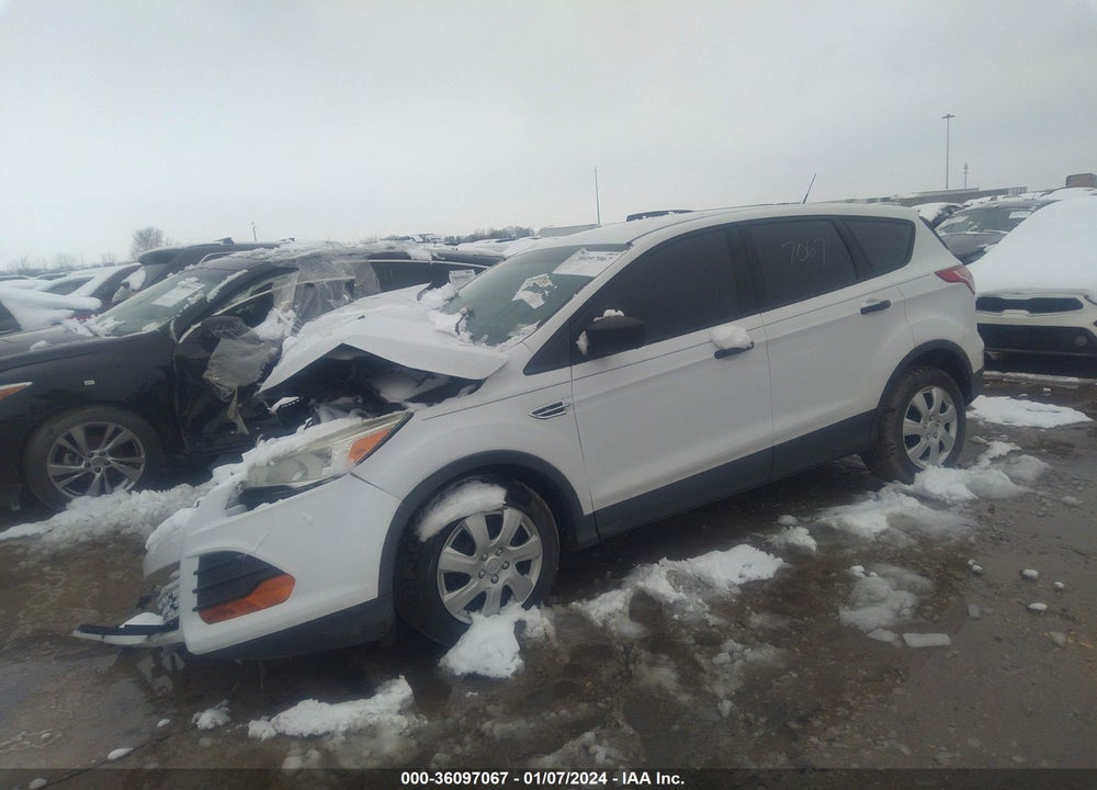 2014 FORD ESCAPE S VIN: 1FMCU0F73EUC73354