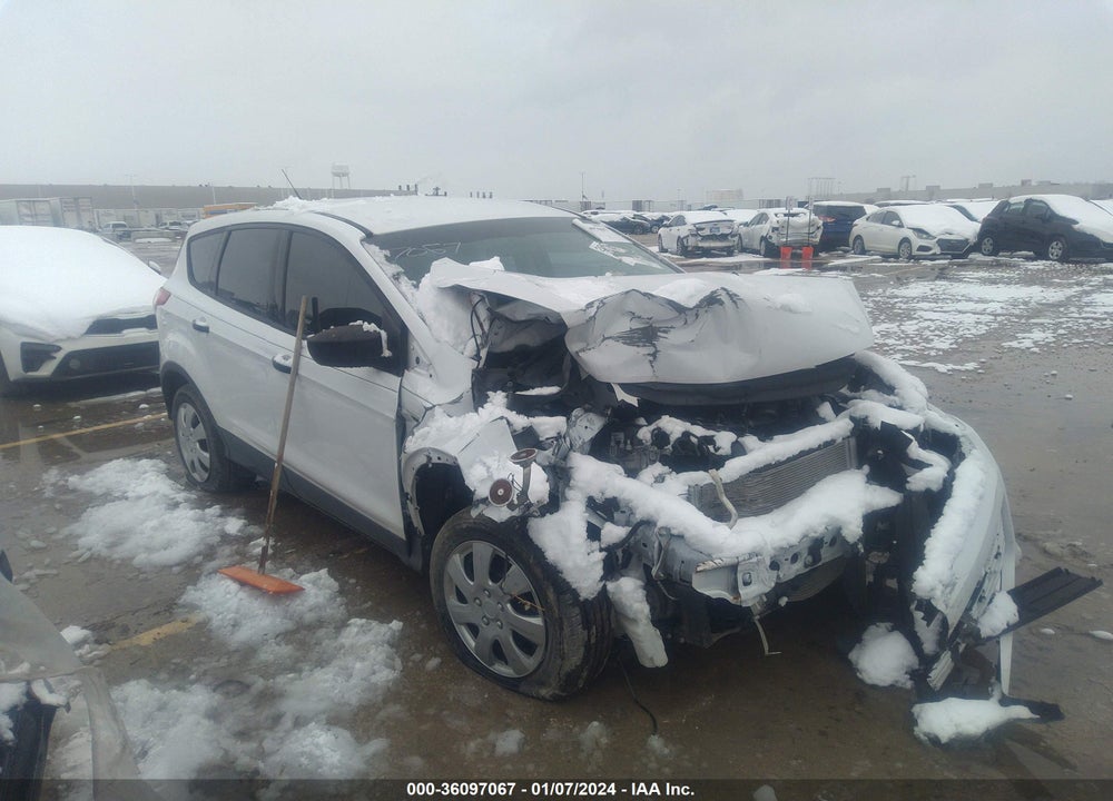 2014 FORD ESCAPE S VIN: 1FMCU0F73EUC73354