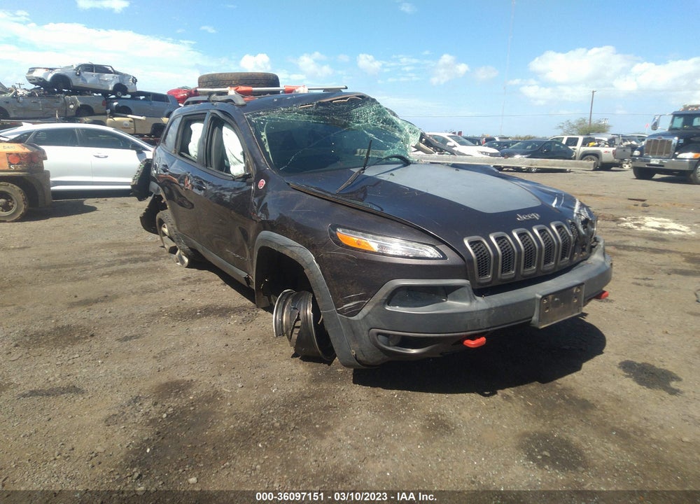 2016 JEEP CHEROKEE TRAILHAWK VIN: 1C4PJMBB4GW123728