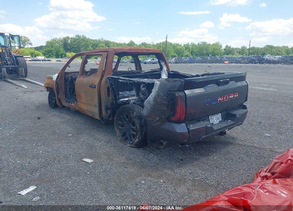 2022 TOYOTA TUNDRA PLATINUM VIN: 5TFNA5DB6NX020621