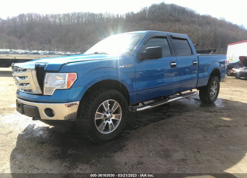 2011 FORD F-150 XLT VIN: 1FTFW1EF3BKE11749