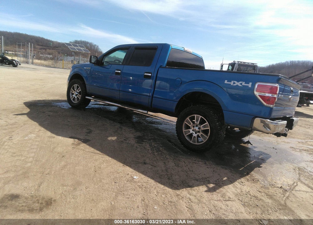 2011 FORD F-150 XLT VIN: 1FTFW1EF3BKE11749