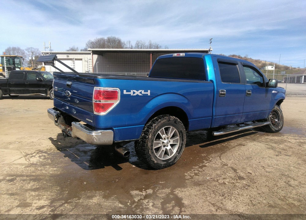 2011 FORD F-150 XLT VIN: 1FTFW1EF3BKE11749