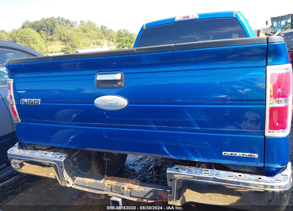 2011 FORD F-150 XLT VIN: 1FTFW1EF3BKE11749
