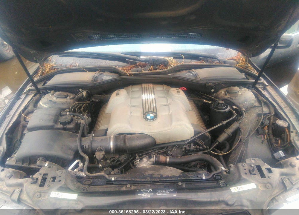 2004 BMW 745LI VIN: WBAGN63494DS49992