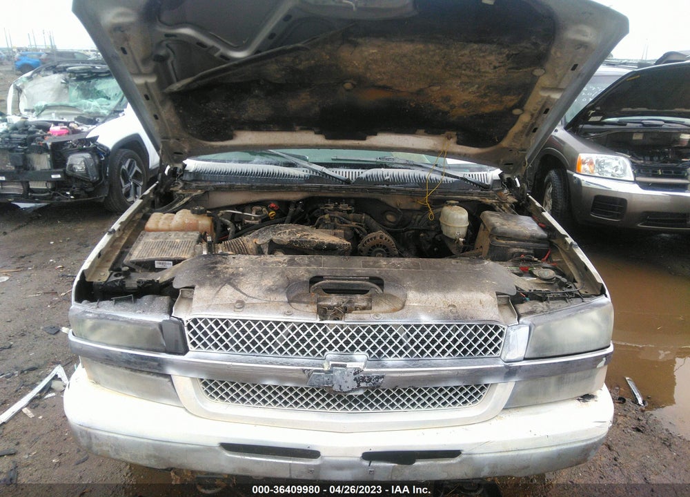 2005 CHEVROLET SILVERADO 1500 WORK TRUCK VIN: 1GCEC19V55Z172495