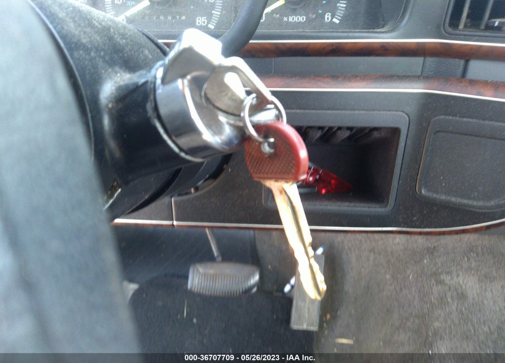 1991 FORD F150 VIN: 1FTDF15N5MNB15485