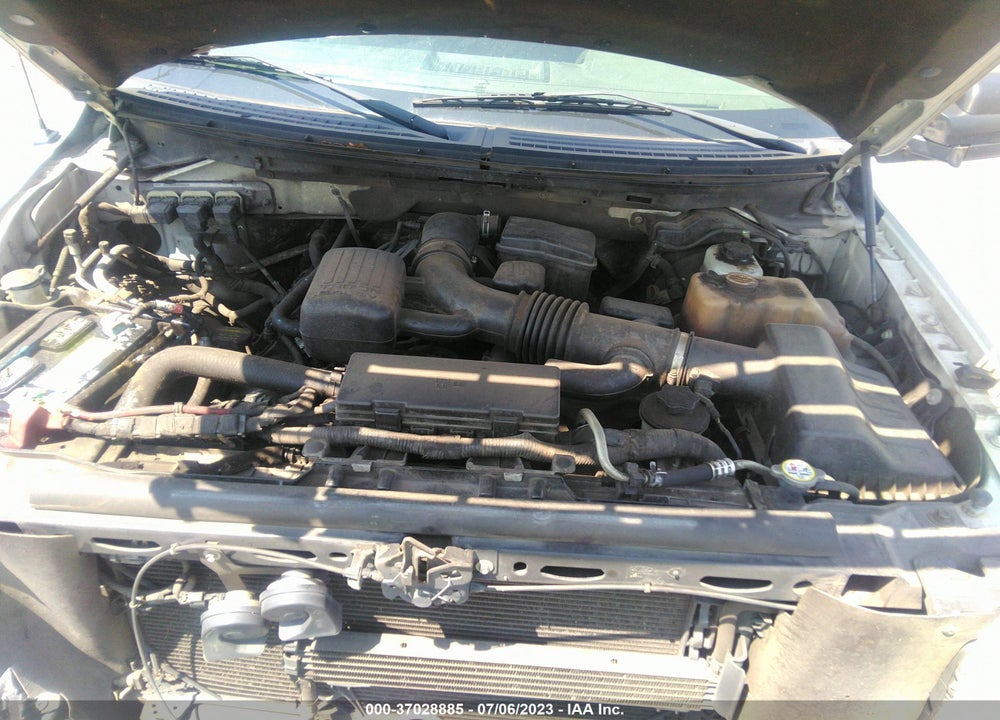 2010 FORD F-150 VIN: 1FTFX1EV6AKE17273