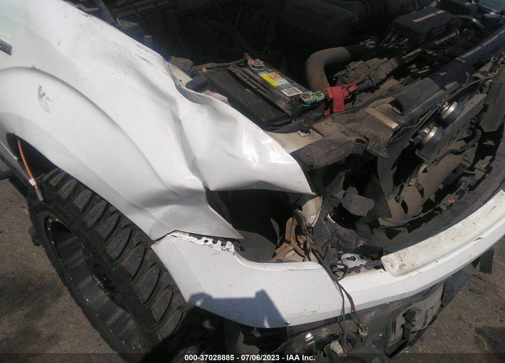 2010 FORD F-150 VIN: 1FTFX1EV6AKE17273