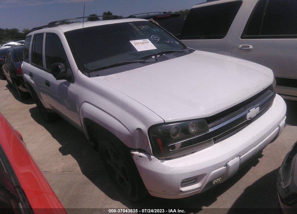 2003 CHEVROLET TRAILBLAZER LS VIN: 1GNDS13S732166014