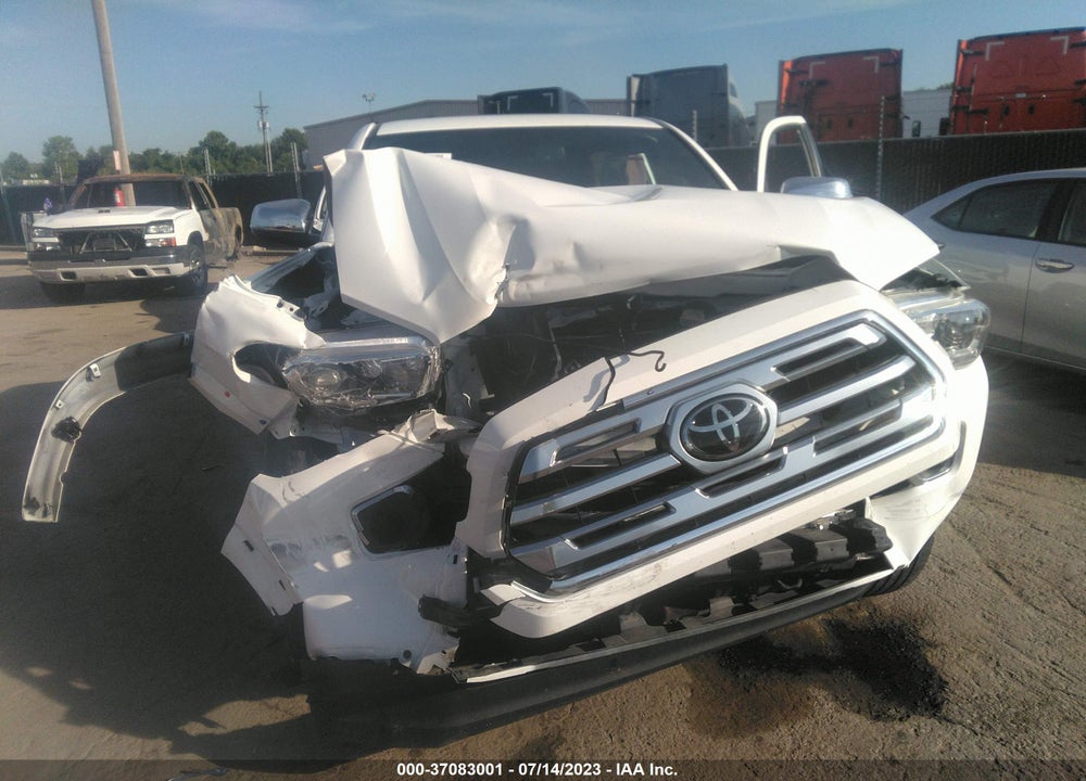 2019 TOYOTA TACOMA LIMITED VIN: 3TMGZ5AN2KM246737