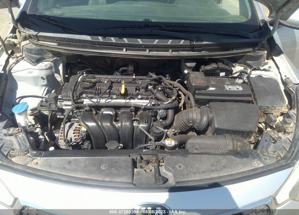 2015 KIA FORTE LX VIN: KNAFK4A65F5339313