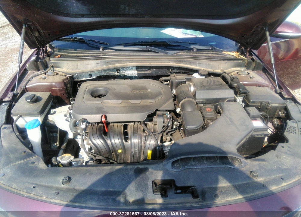 2019 KIA OPTIMA VIN: 5XXGT4L3XKG343676