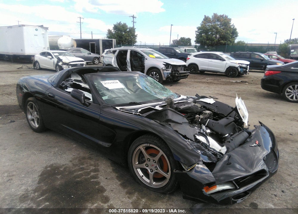 2004 CHEVROLET CORVETTE VIN: 1G1YY22G845127694