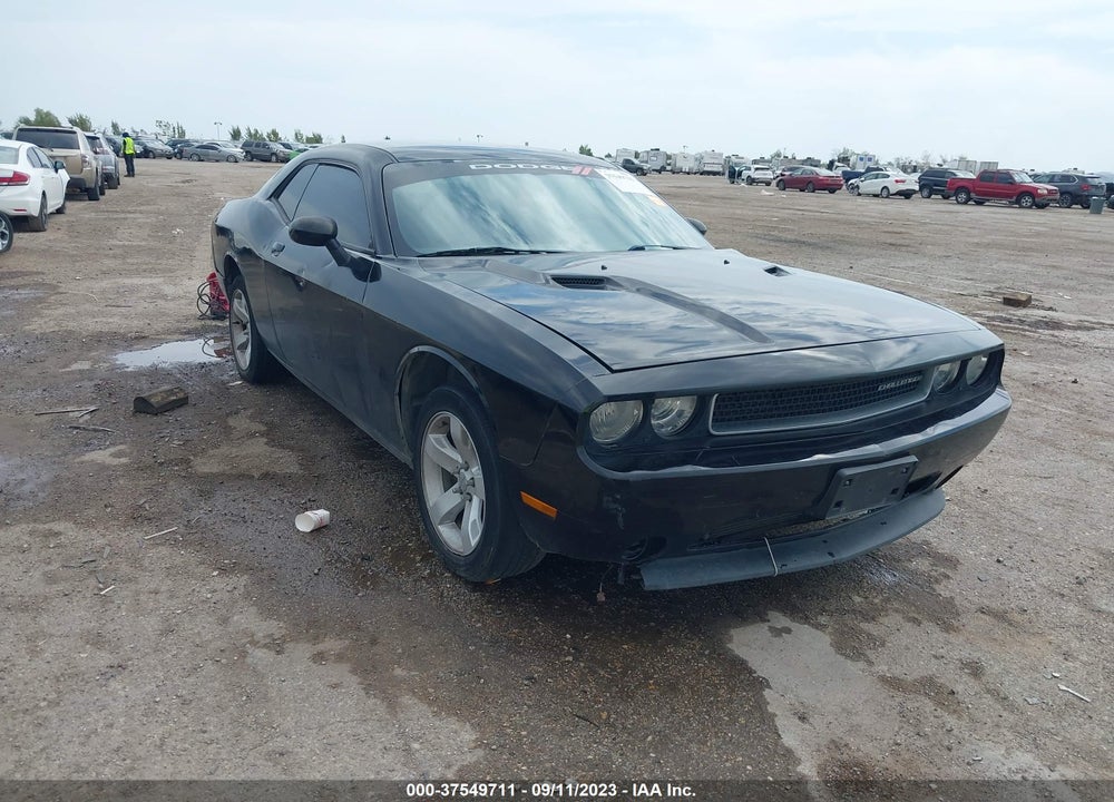 2013 DODGE CHALLENGER SXT VIN: 2C3CDYAG0DH596387