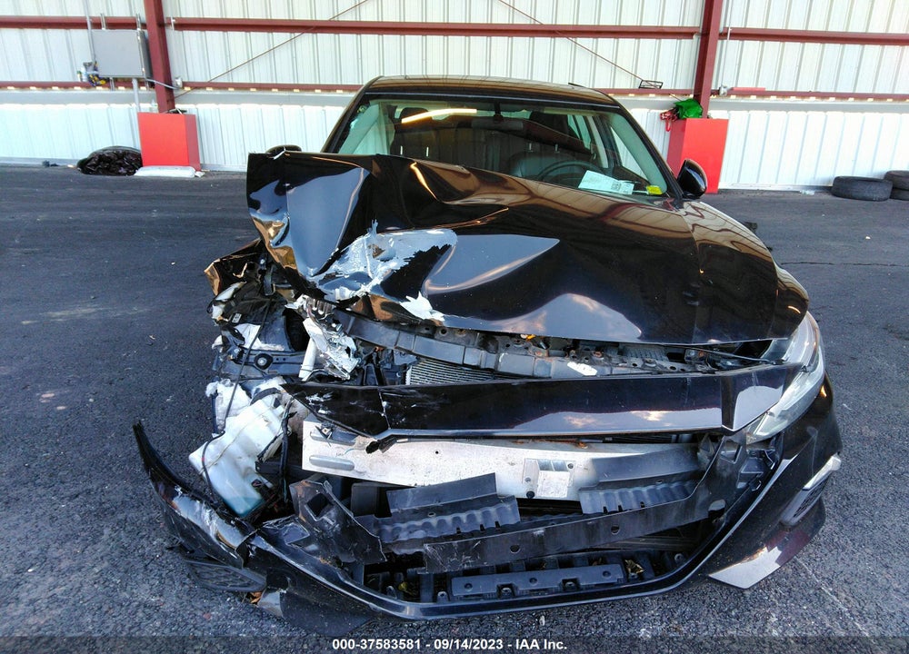 2019 NISSAN ALTIMA VIN: 1N4BL4CW9KN317326
