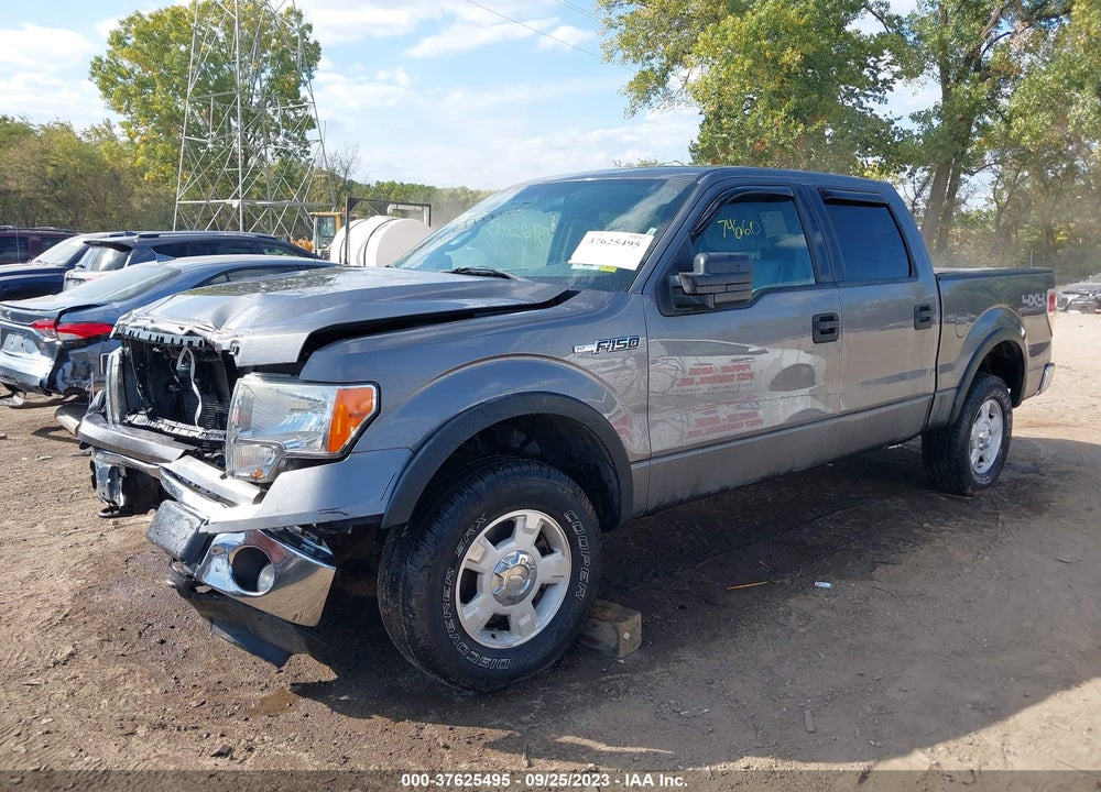 2011 FORD F-150 XLT VIN: 1FTFW1EF6BFA13881