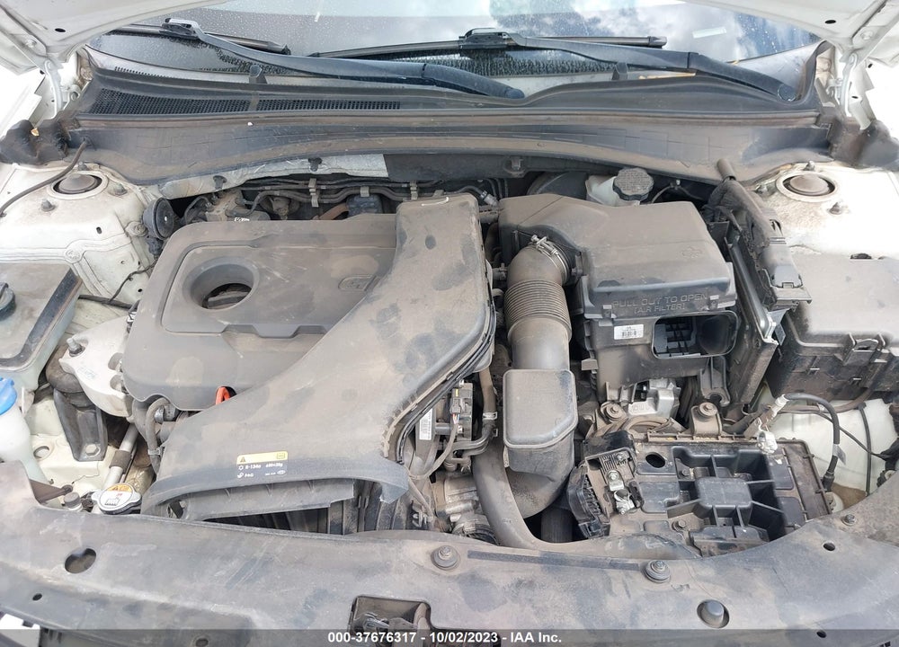 2016 KIA OPTIMA LX VIN: KNAGT4L3XG5095907