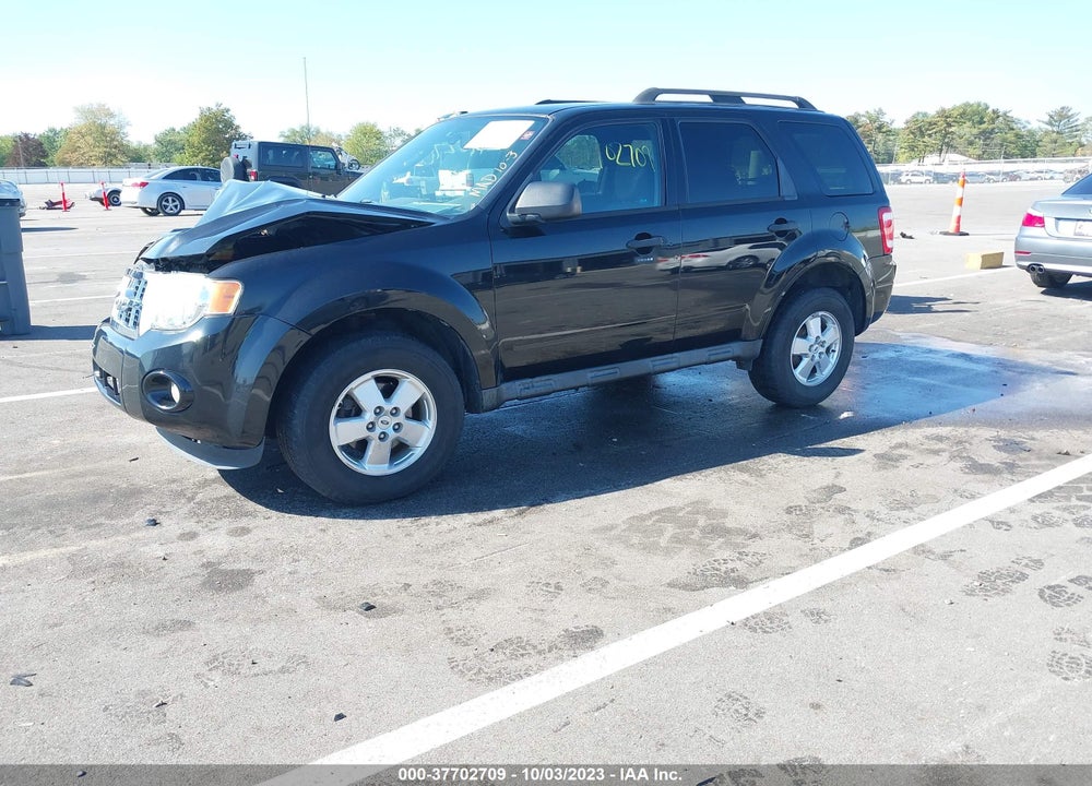 2011 FORD ESCAPE XLT VIN: 1FMCU0D77BKA13517