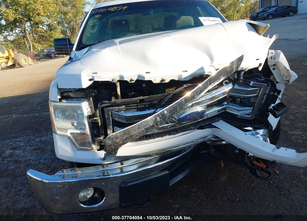 2013 FORD F-150 XLT VIN: 1FTFX1EF9DKF98320