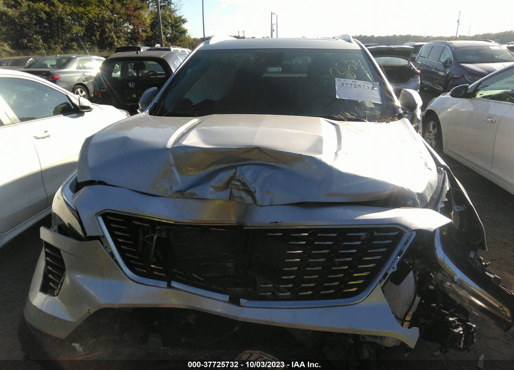 2019 CADILLAC XT4 PREMIUM LUXURY VIN: 1GYFZDR45KF204770