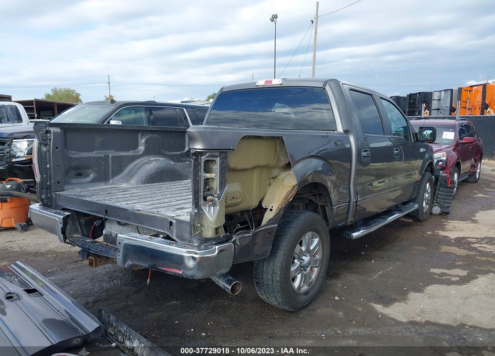 2013 FORD F-150 XLT VIN: 1FTFW1EF4DKG08481