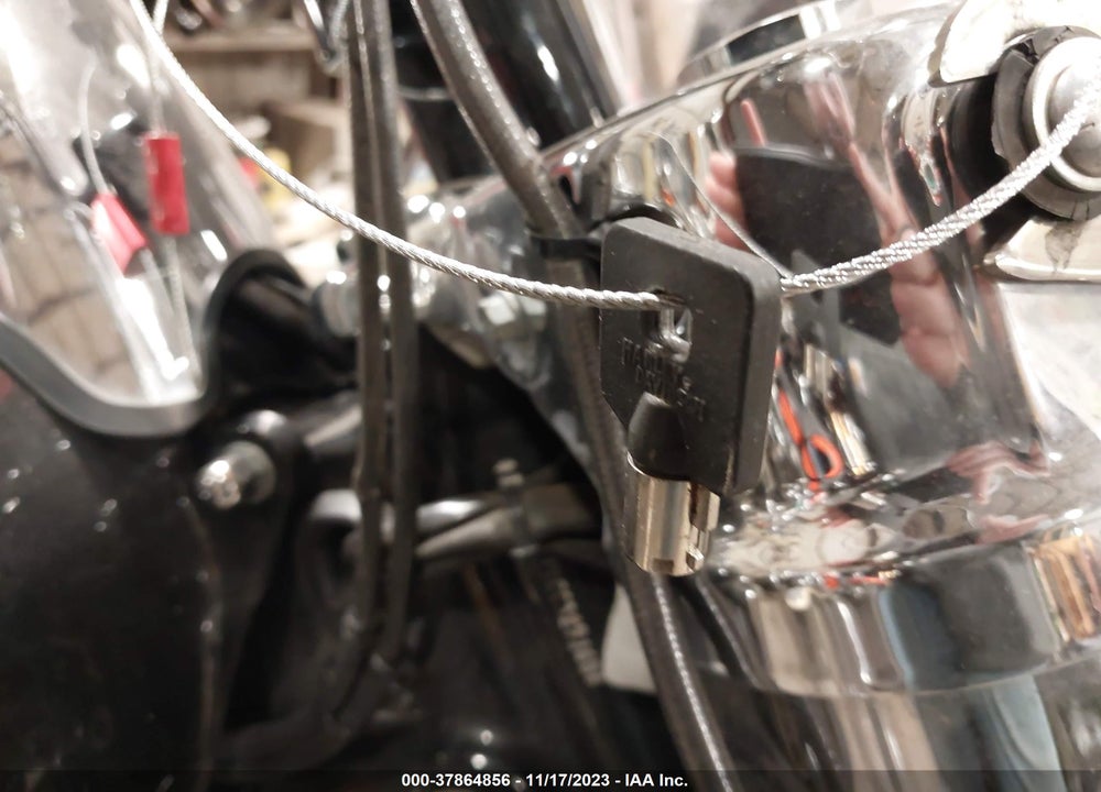 2012 HARLEY-DAVIDSON FLD SWITCHBACK VIN: 1HD1GZM19CC329160