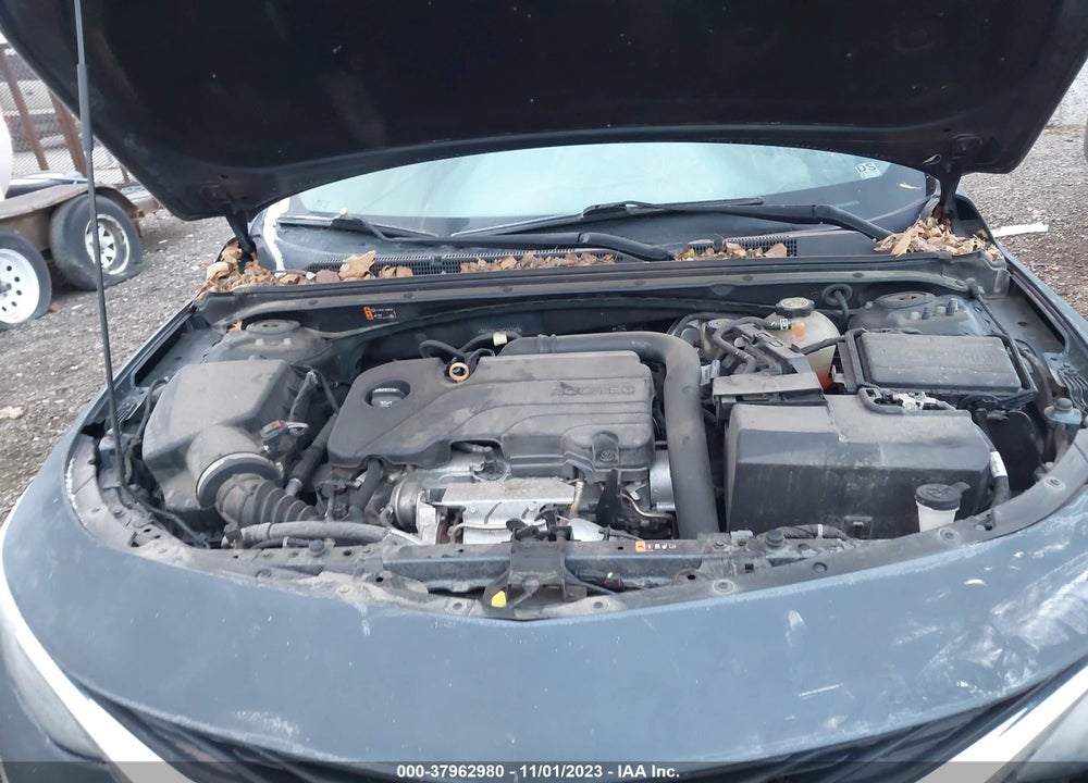2019 CHEVROLET MALIBU VIN: 1G1ZD5ST0KF141353