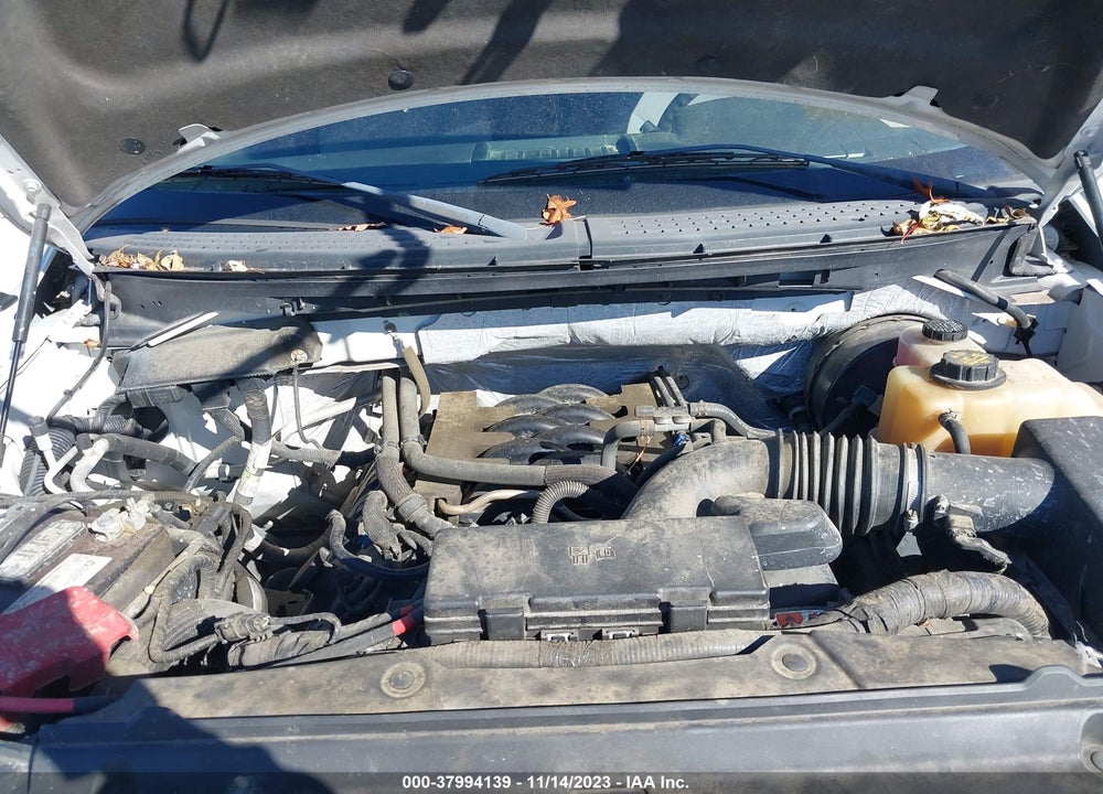 2011 FORD F-150 XL VIN: 1FTFX1CF5BFB62105