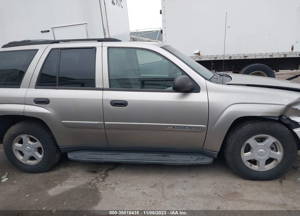 2002 CHEVROLET TRAILBLAZER LS VIN: 1GNDT13SX22344428