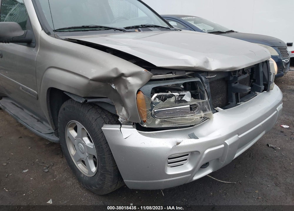 2002 CHEVROLET TRAILBLAZER LS VIN: 1GNDT13SX22344428
