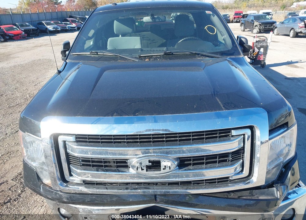 2014 FORD F-150 XLT VIN: 1FTFX1EF6EFB95759