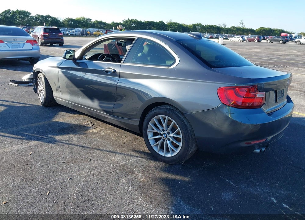 2014 BMW 228I VIN: WBA1F5C59EV246270