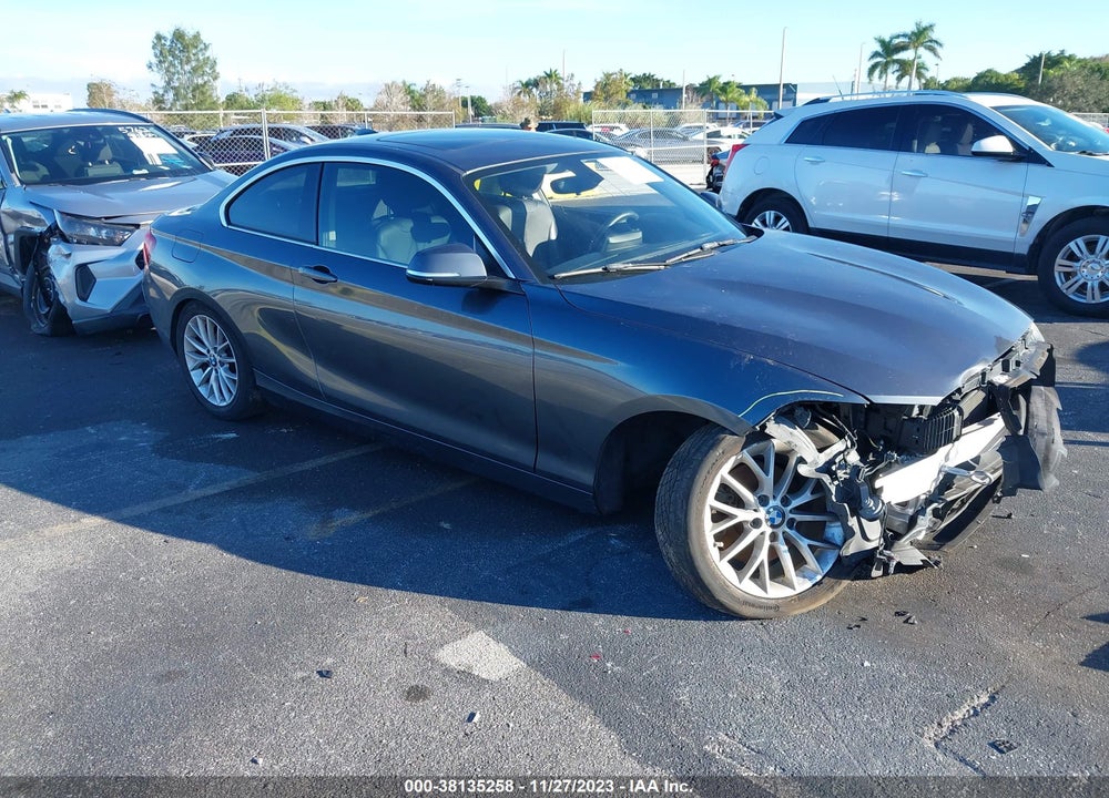 2014 BMW 228I VIN: WBA1F5C59EV246270