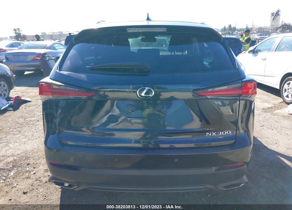 2019 LEXUS NX 300 VIN: JTJYARBZXK2118058
