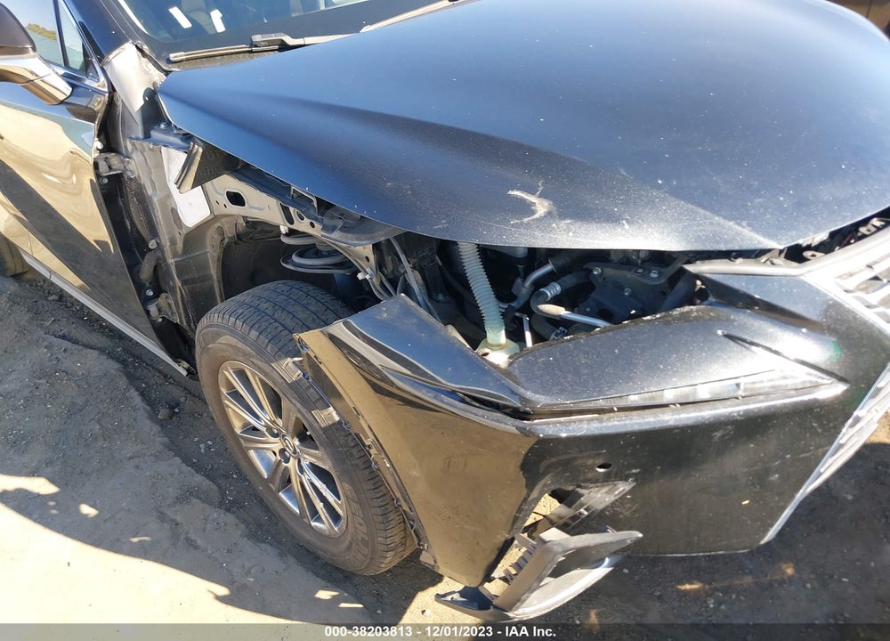 2019 LEXUS NX 300 VIN: JTJYARBZXK2118058