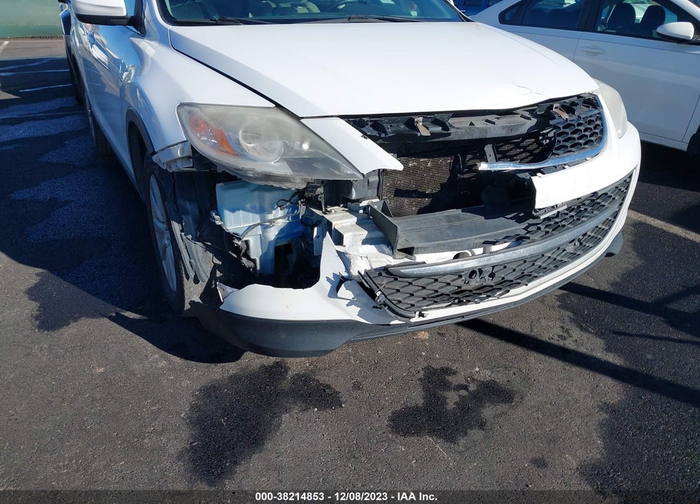 2010 MAZDA CX-9 TOURING VIN: JM3TB3MA9A0215574