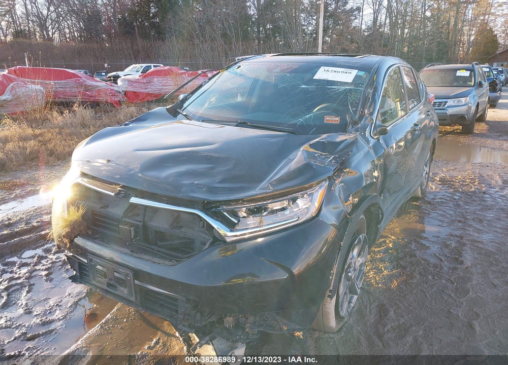 2019 HONDA CR-V EX VIN: 2HKRW2H51KH651385