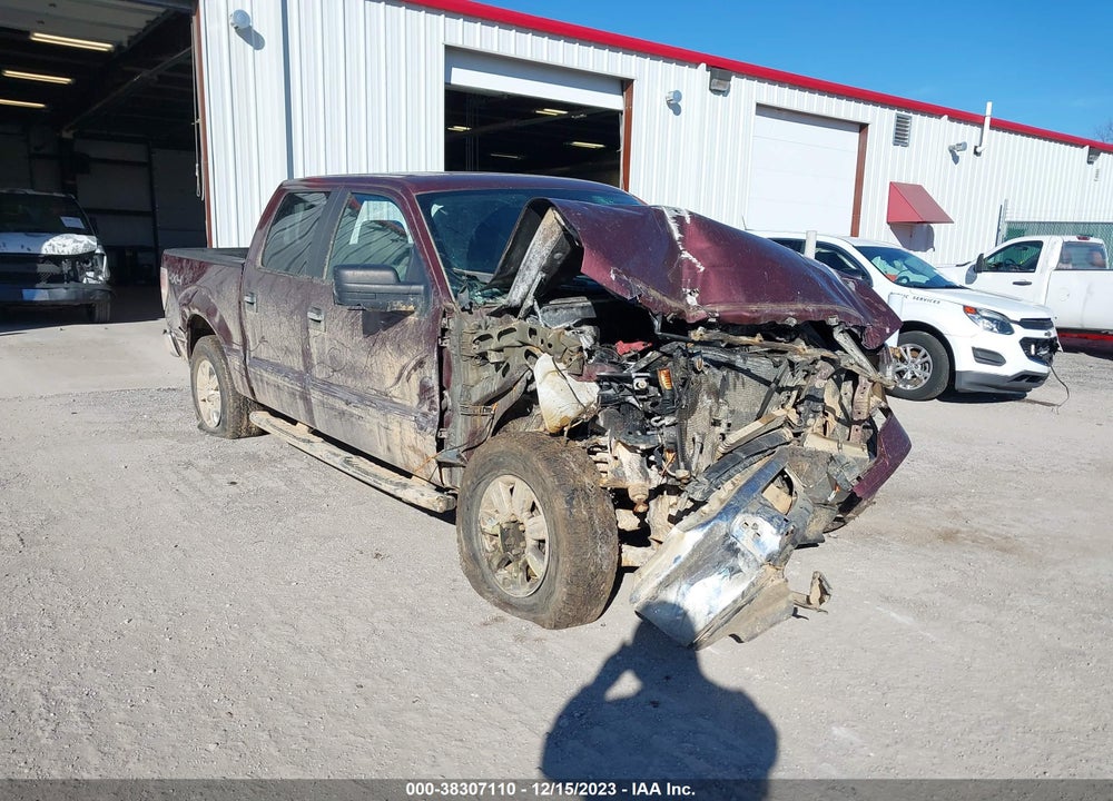 2010 FORD F-150 FX4/LARIAT/XL/XLT VIN: 1FTFW1EV7AFB46123